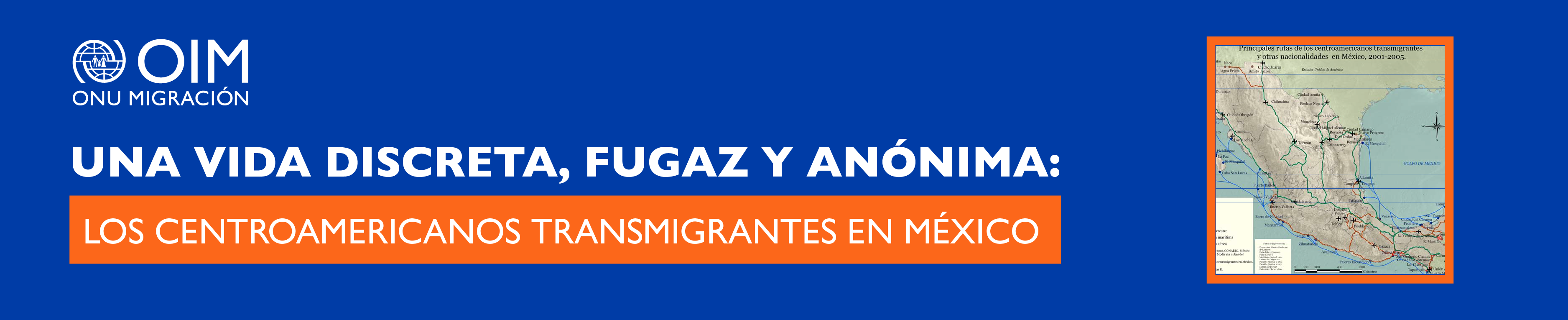 Una vida discreta, fugaz y anónima: los centroamericanos transmigrantes en México